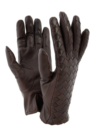 Shop Sermoneta Gloves Ladies Gloves In Testa Di Moro