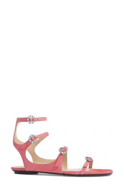 Shop Jimmy Choo Naia Crystal Buckle Sandal In Flamingo Pink