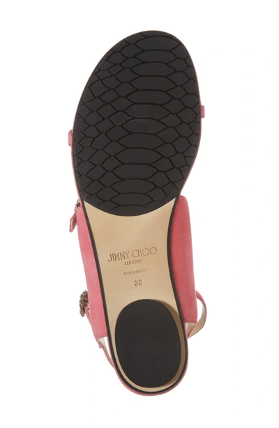 Shop Jimmy Choo Naia Crystal Buckle Sandal In Flamingo Pink