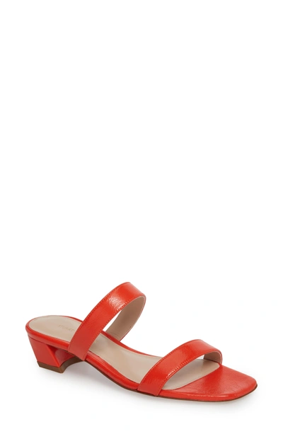 Shop Stuart Weitzman Ava Slide Sandal In Papgle