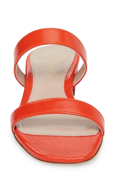 Shop Stuart Weitzman Ava Slide Sandal In Papgle