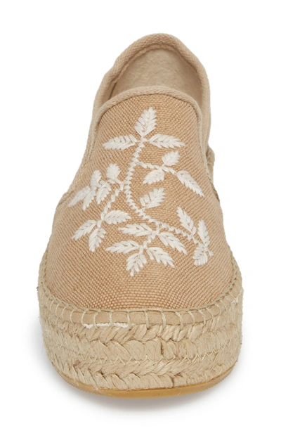 Shop Toni Pons Florence Embroidered Platform Espadrille Sneaker In Tobacco Fabric