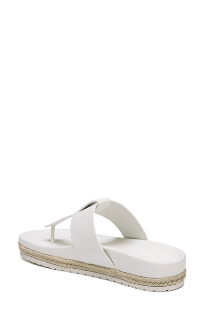 Shop Vince Avani T-strap Flat Sandal In Panna Cotta