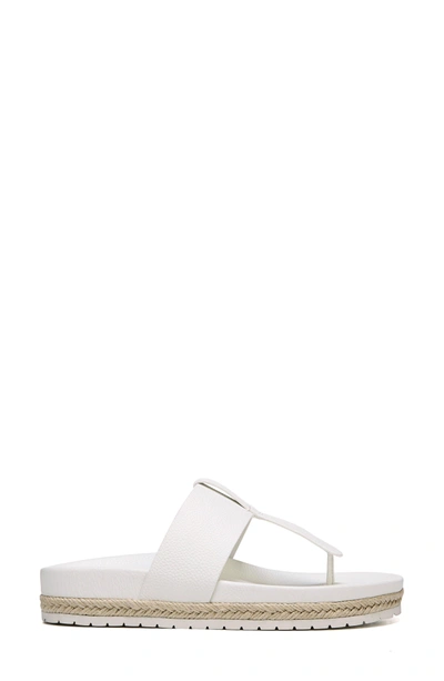 Shop Vince Avani T-strap Flat Sandal In Panna Cotta