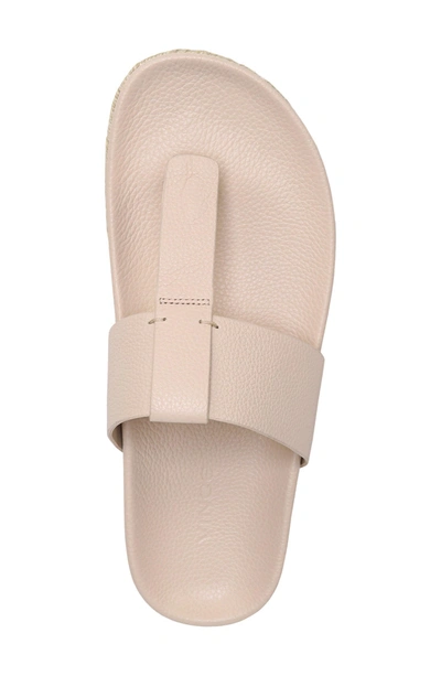 Shop Vince Avani T-strap Flat Sandal In Blush