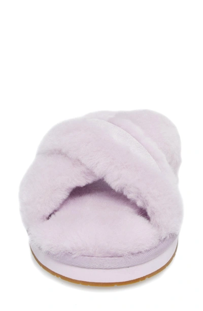 Shop Ugg Abela Genuine Shearling Flip Flop In Lavender Fog