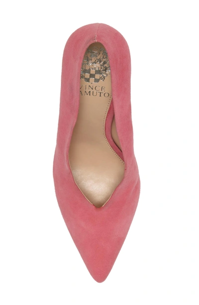 Shop Vince Camuto Ankia Suede Pump In Soft Pink Suede