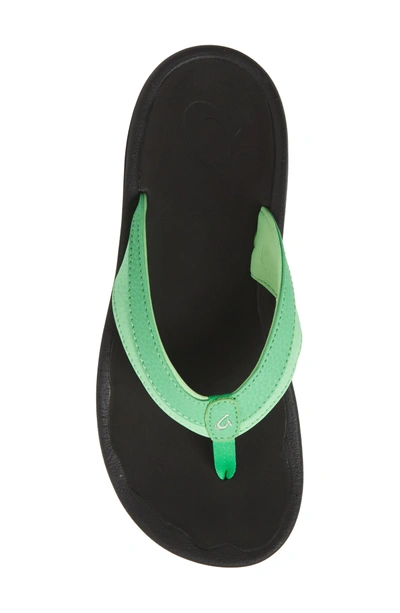Shop Olukai 'ohana' Sandal In Sour Tart/ Black Faux Leather