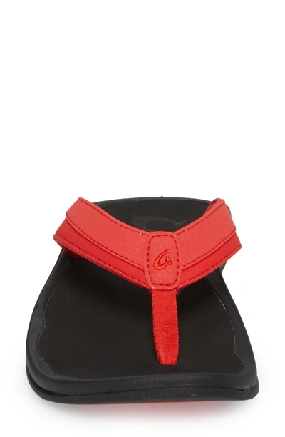 Shop Olukai Ohana Flip Flop In Hibiscus/ Black Faux Leather