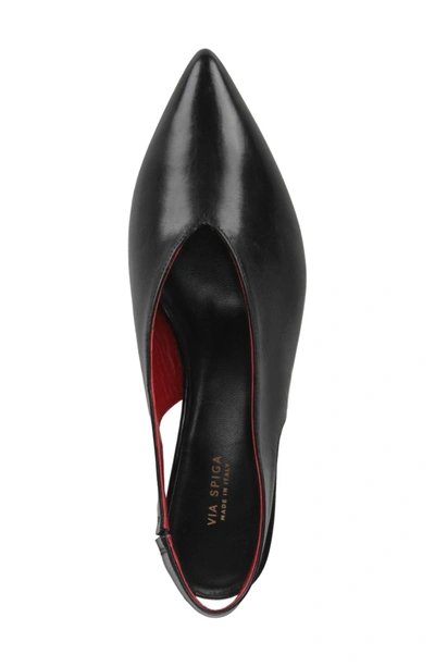 Shop Via Spiga Darwin Slingback Pump In Black Leather