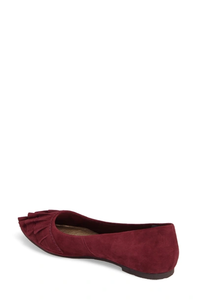 Shop Seychelles Downstage Pointy Toe Flat In Burgundy Suede