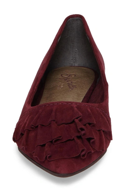 Shop Seychelles Downstage Pointy Toe Flat In Burgundy Suede