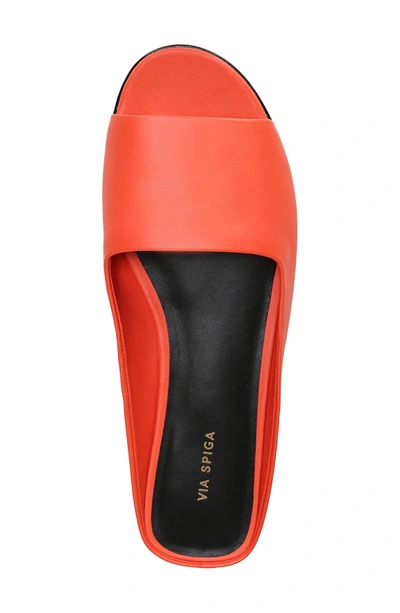 Shop Via Spiga Hana Slide Sandal In Hot Orange Patent