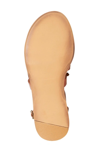 Shop Matisse Warrior Gladiator Sandal In Cognac Leather