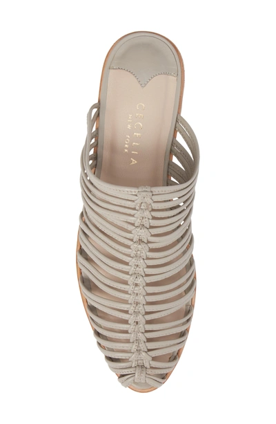 Shop Cecelia New York Gloria Sandal In Clay Leather