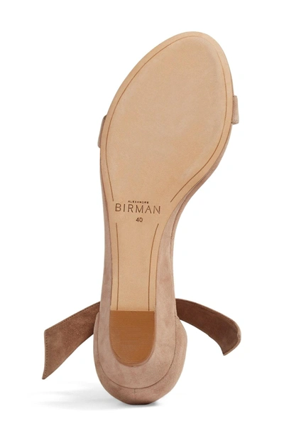 Shop Alexandre Birman Atena Tie Strap Wedge Sandal In Cameo Suede