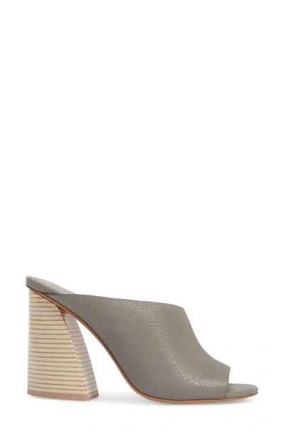 Shop Mercedes Castillo Izar Mule In Granite