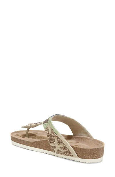 Shop Sam Edelman Olivie Beaded Flip Flop In Putty/ Natural Multi