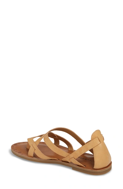 Shop Lucky Brand Ainsley Flat Sandal In Buff Leather