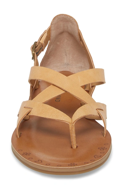 Shop Lucky Brand Ainsley Flat Sandal In Buff Leather