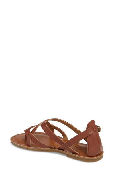 Shop Lucky Brand Ainsley Flat Sandal In Rye Leather