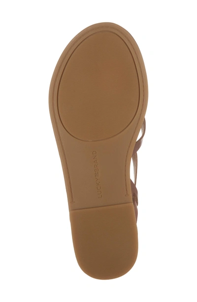 Shop Lucky Brand Ainsley Flat Sandal In Rye Leather