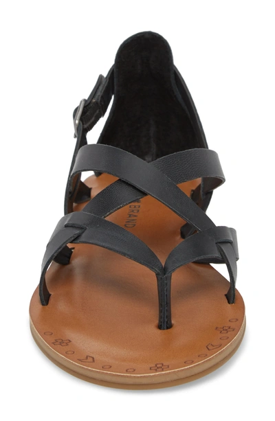 Shop Lucky Brand Ainsley Flat Sandal In Black Leather