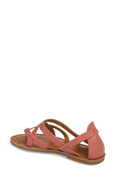 Shop Lucky Brand Ainsley Flat Sandal In Canyon Rose Leather