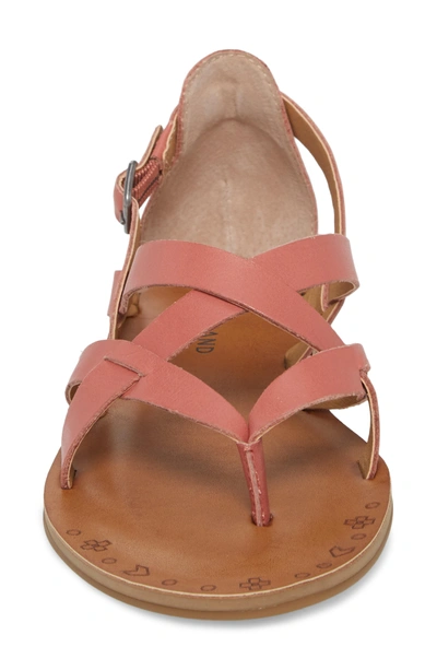 Shop Lucky Brand Ainsley Flat Sandal In Canyon Rose Leather