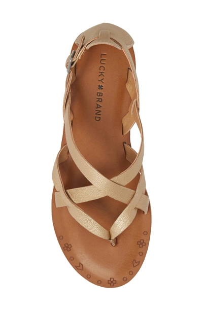 Shop Lucky Brand Ainsley Flat Sandal In Travertine Leather