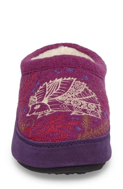 Shop Acorn 'forest' Wool Mule Slipper In Purple Hedgehog