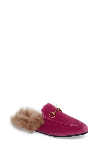 Shop Gucci Princetown Genuine Shearling Mule Loafer In Pink Velvet