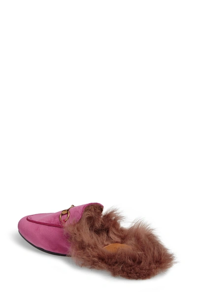 Shop Gucci Princetown Genuine Shearling Mule Loafer In Pink Velvet