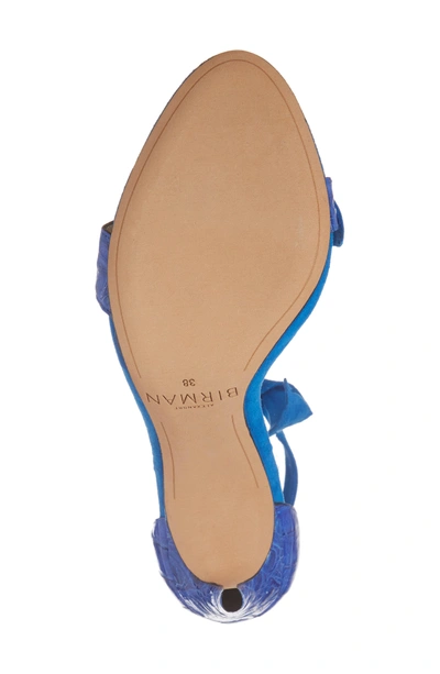 Shop Alexandre Birman Clarita Knot Sandal In Topazio/ Saphire