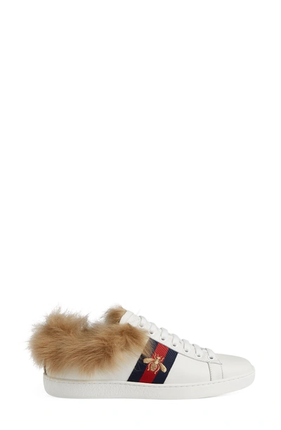 Shop Gucci New Ace Genuine Shearling Lining Sneaker In White