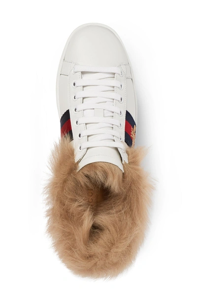 Shop Gucci New Ace Genuine Shearling Lining Sneaker In White