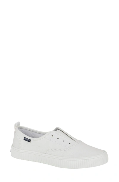 Shop Sperry Crest Creeper Cvo Slip-on Sneaker In White Canvas