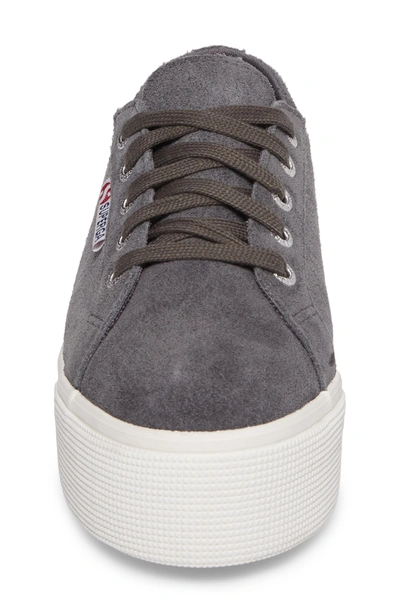 Shop Superga 2790 Platform Sneaker In Grey Suede