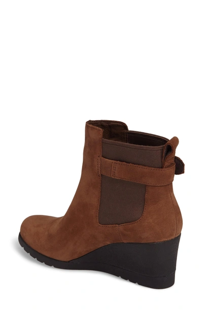 Shop Ugg Waterproof Insulated Wedge Boot In Stout Leather