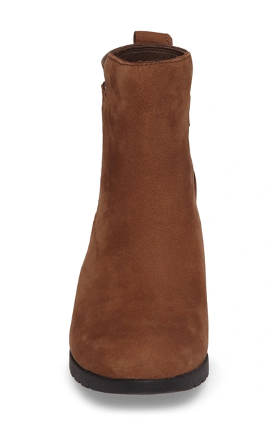 Shop Ugg Waterproof Insulated Wedge Boot In Stout Leather