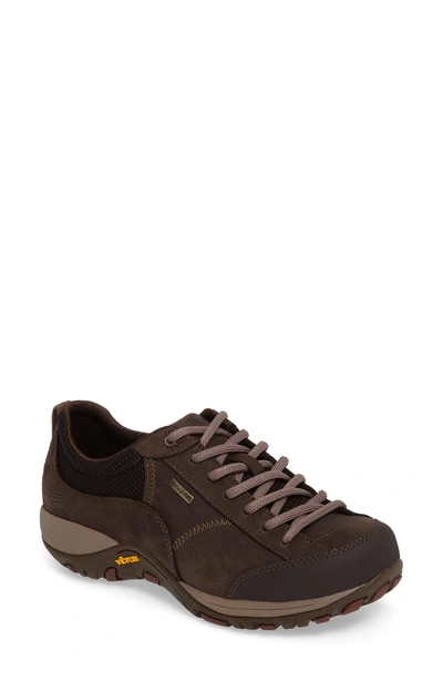 Shop Dansko Paisley Waterproof Sneaker In Chocolate Leather