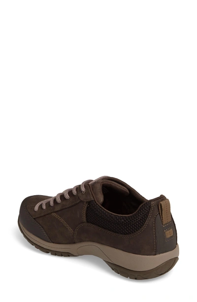 Shop Dansko Paisley Waterproof Sneaker In Chocolate Leather
