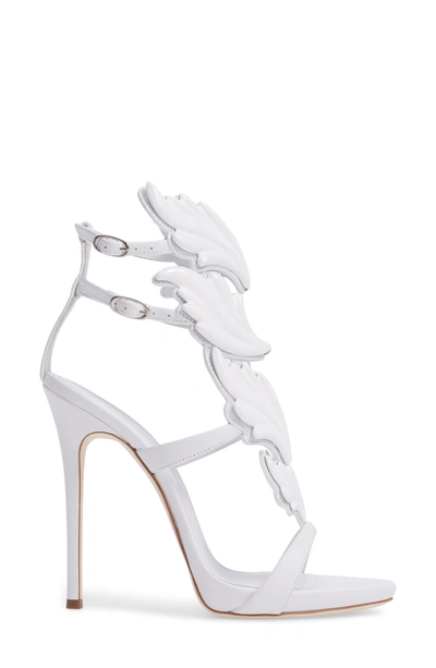 Shop Giuseppe Zanotti 'cruel' Wing Sandal In White