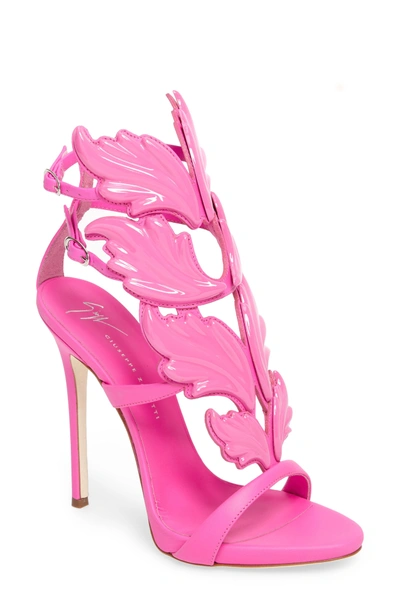 Shop Giuseppe Zanotti 'cruel' Wing Sandal In Pink
