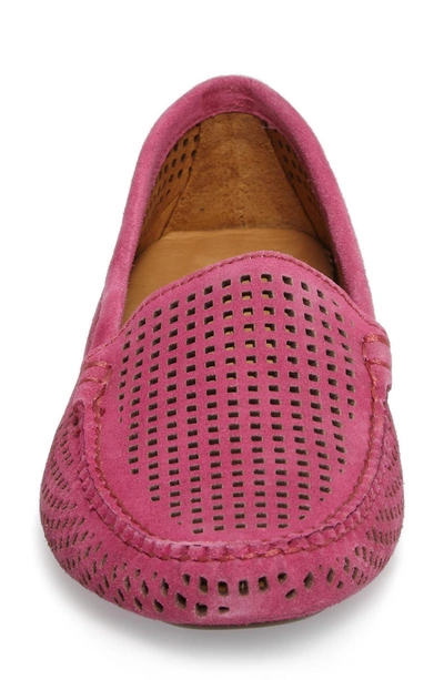 Shop Patricia Green 'barrie' Flat In Hot Pink Suede