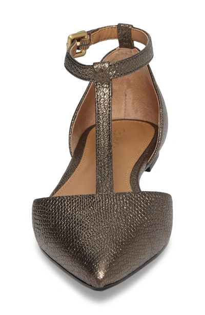 Shop Calvin Klein 'ghita' T-strap Flat In Gold Foiled Leather