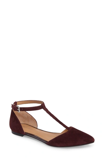 Shop Calvin Klein 'ghita' T-strap Flat In Oxblood Suede