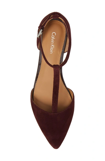 Shop Calvin Klein 'ghita' T-strap Flat In Oxblood Suede