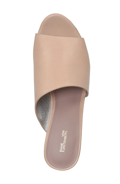 Shop Diane Von Furstenberg Bonnie Wedge Slide Sandal In Cappuccino