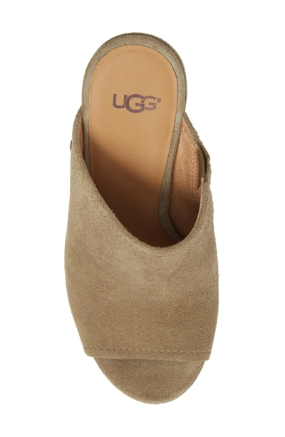 Shop Ugg Lively Wedge Slide Sandal In Antelope Suede